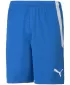 Pantaloni scurţi PUMA TEAMLIGA SHORTS 704924_02 LIMONADĂ ALBASTRĂ ELECTRICĂ
