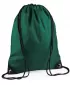 | BG 10 BOTLE GREEN BagBase