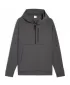 Hanorac pentru bărbați PUMA TECH HALF ZIP HOODIE 688044-44 GRI