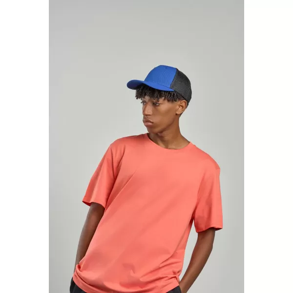  Capac ATLANTIS | Zion REGAL/NEGRU 