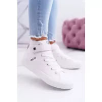 alb